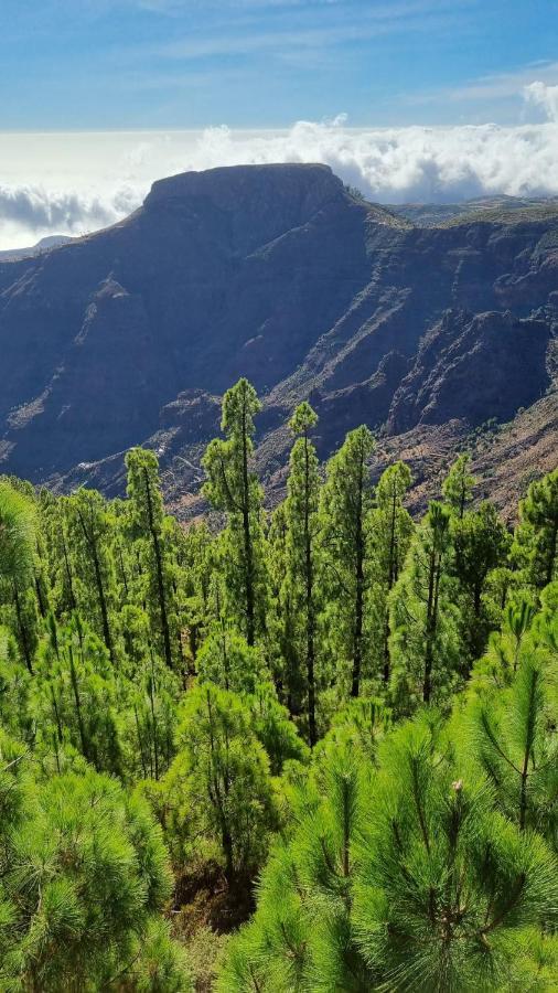 Casa Doris Daire San Sebastián de la Gomera Dış mekan fotoğraf